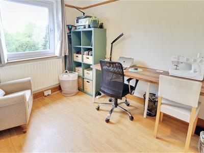 Picture 27